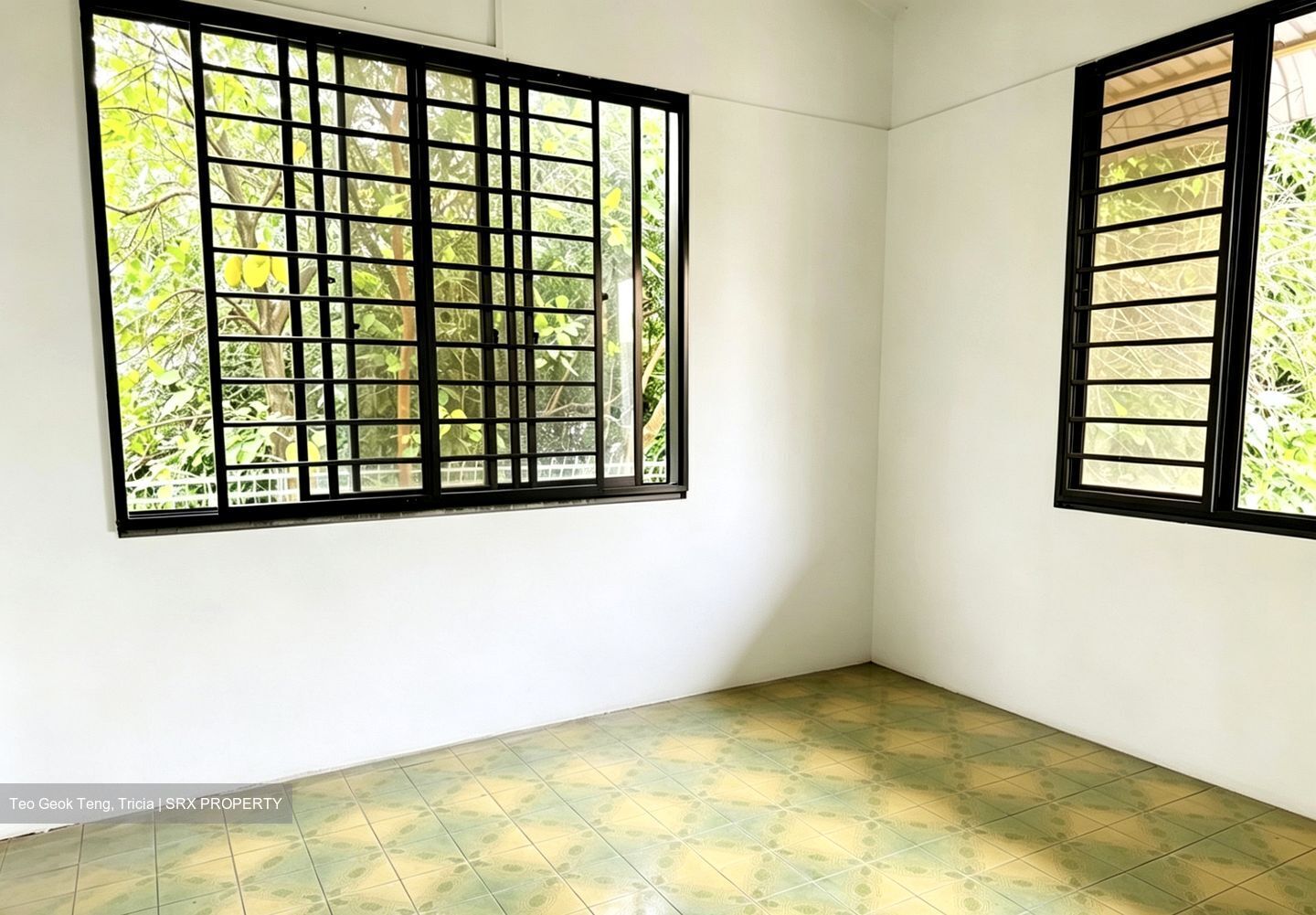 Robey Crescent (D19), Detached #549132321